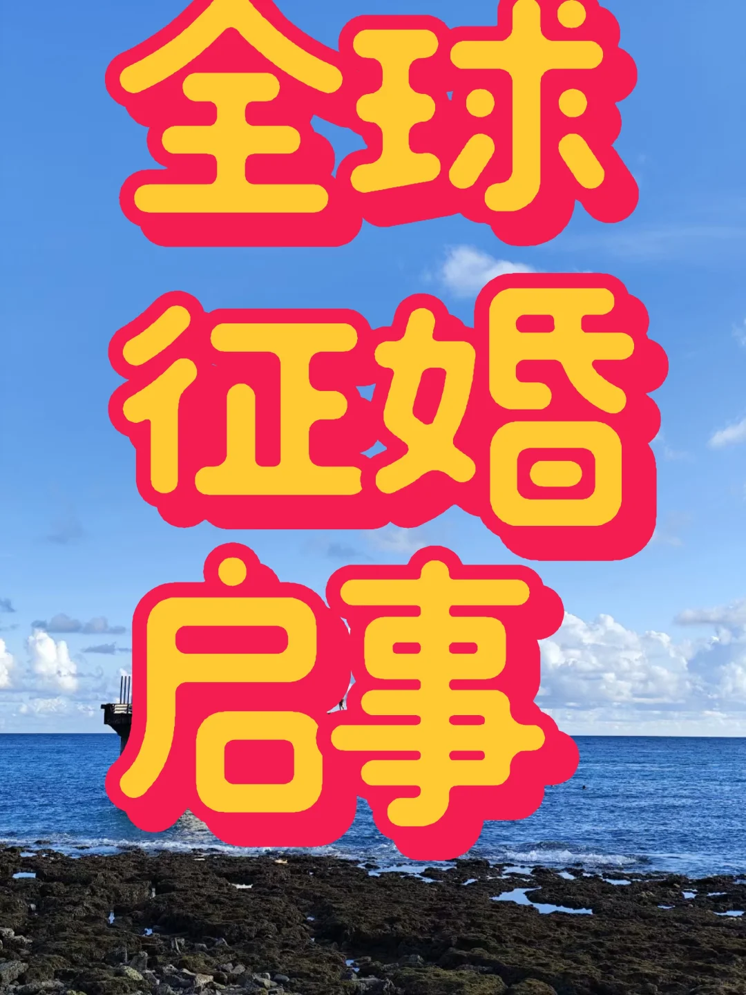 全球征婚启事