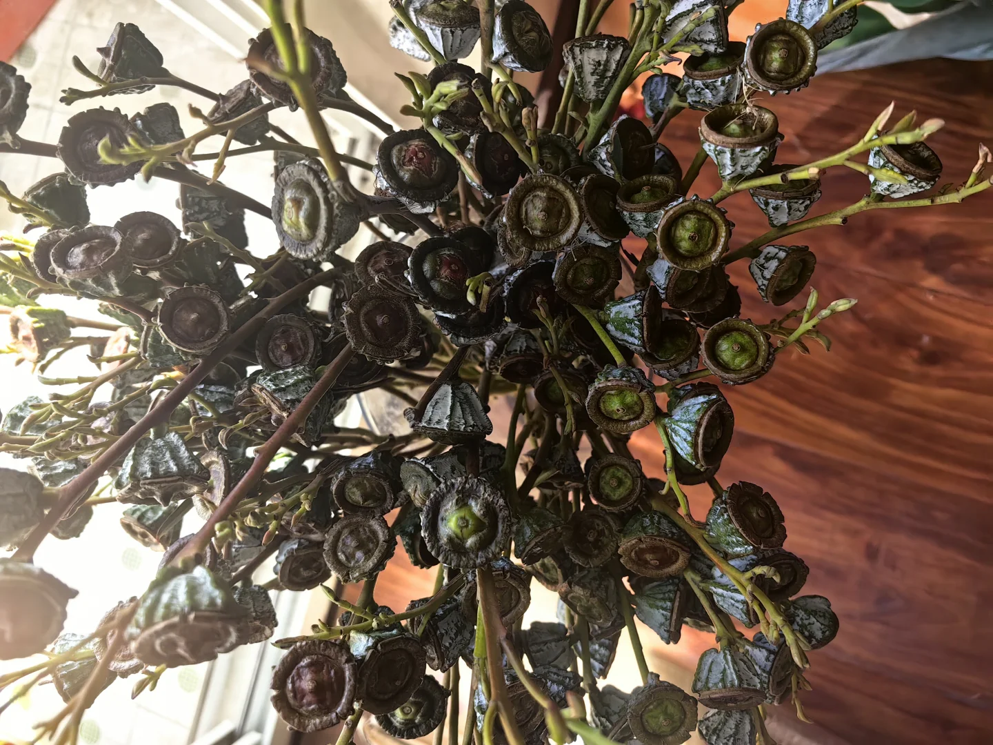 花点时间做收获幸福的事