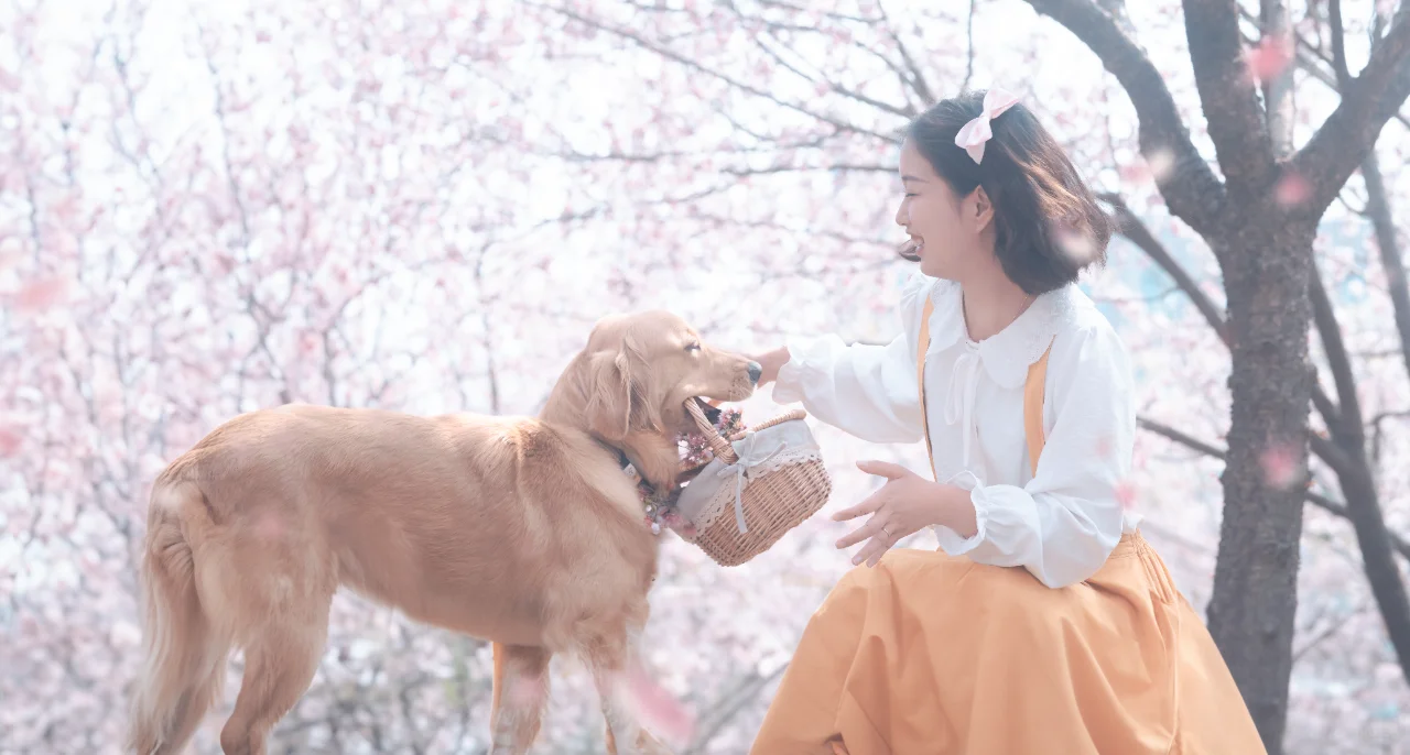 传说中的妈系甜妹