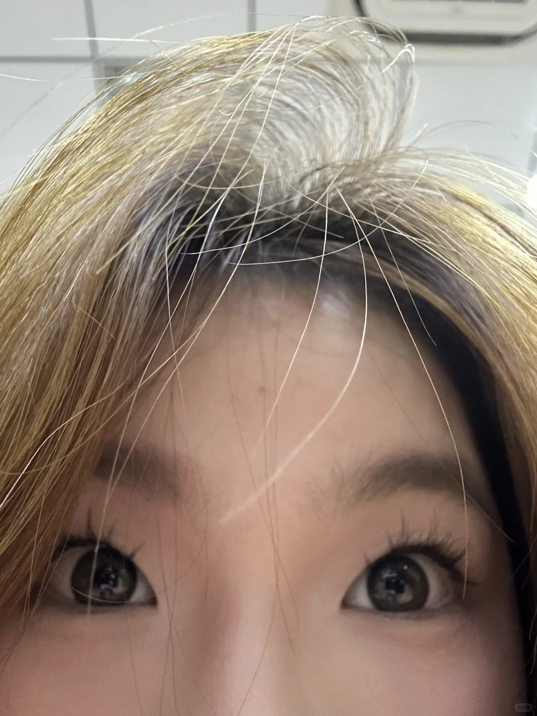 上外大二｜🈵也是忙里偷闲上了
