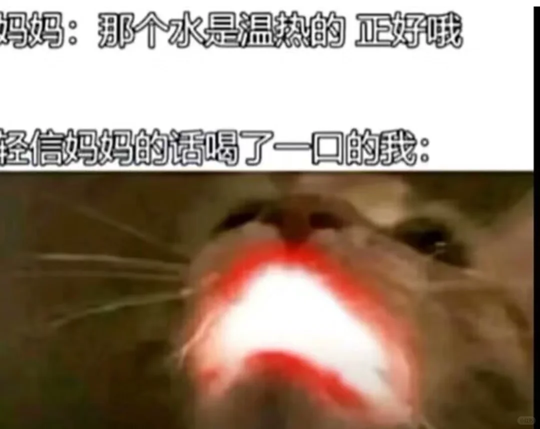 看包浆图片，品百味人生