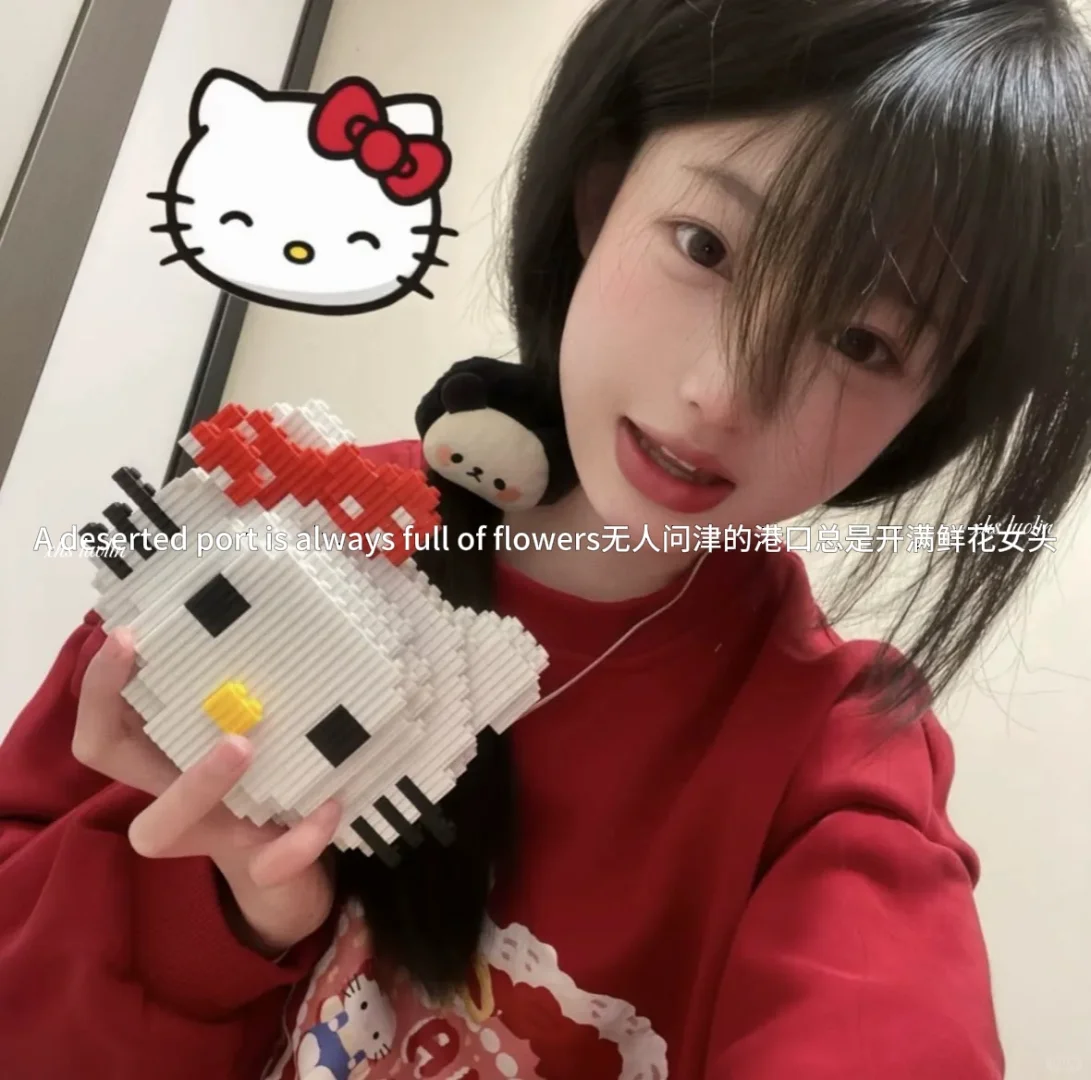 无人问津的港口总是开满鲜花