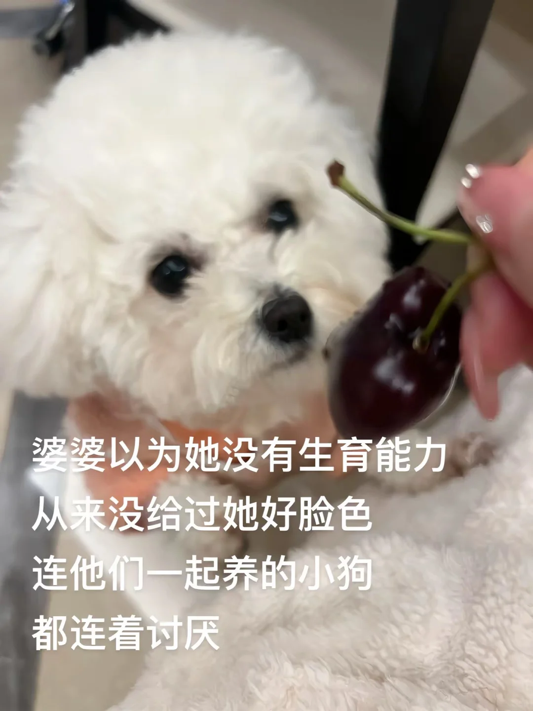 已婚无娃三年 被婆婆嫌弃了。