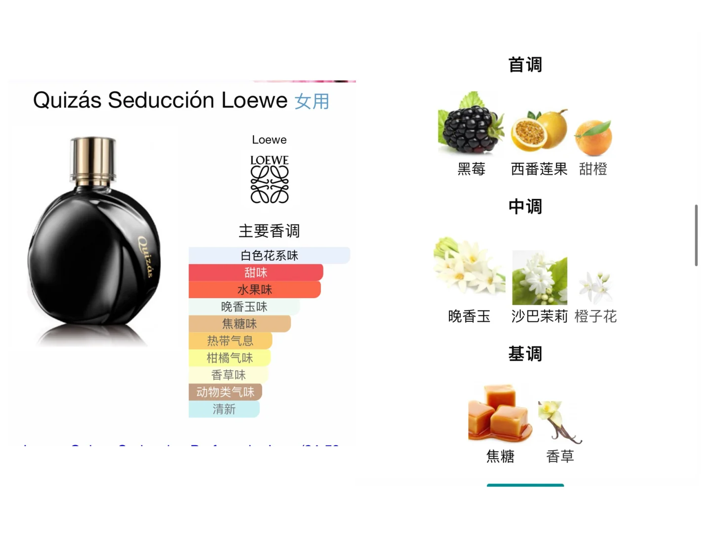 Loewe 罗意威