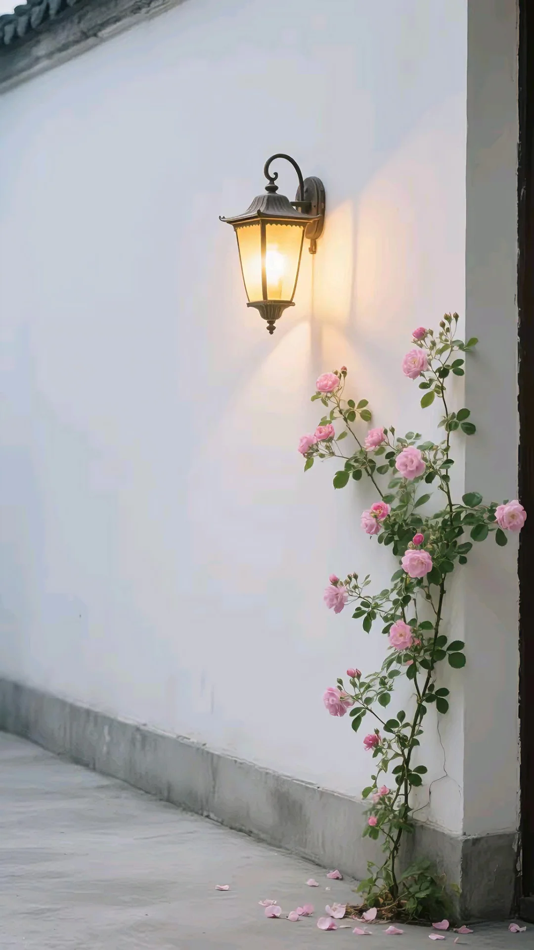 简约好看的壁纸