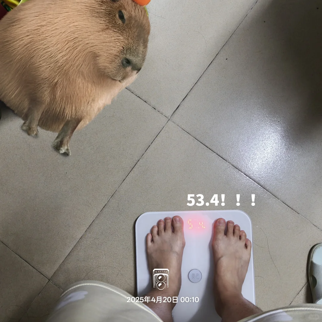 发疯暴食❗❗狂吃万卡🆘卡路里爆棚💥
