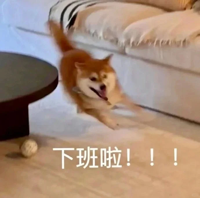 笑到打鸣！这些表情包承包你一年笑点
