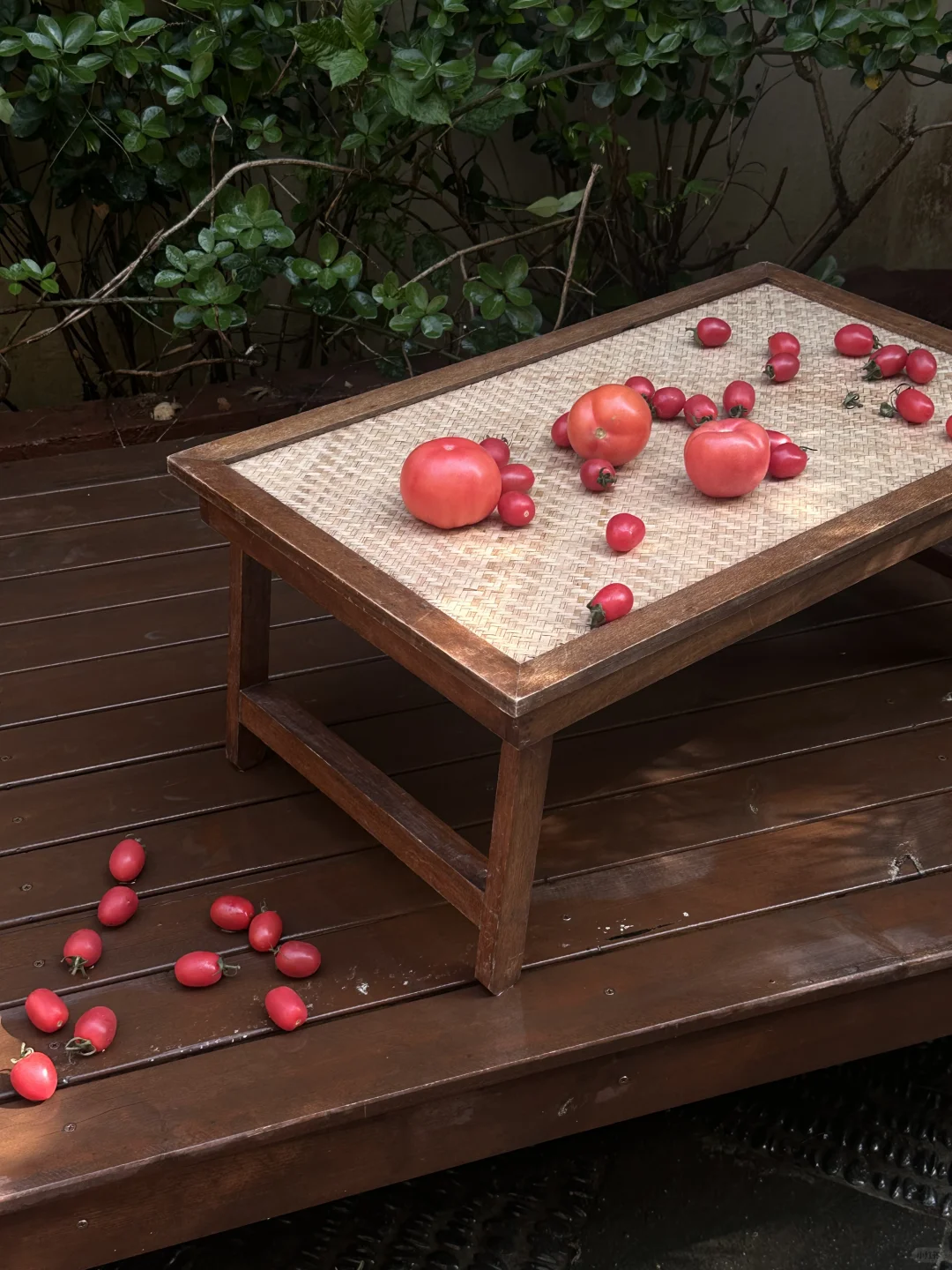 小番茄🍅