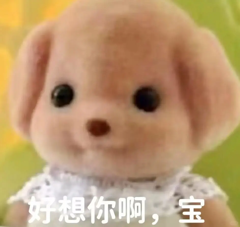 Call me！ 森贝儿小鼻噶