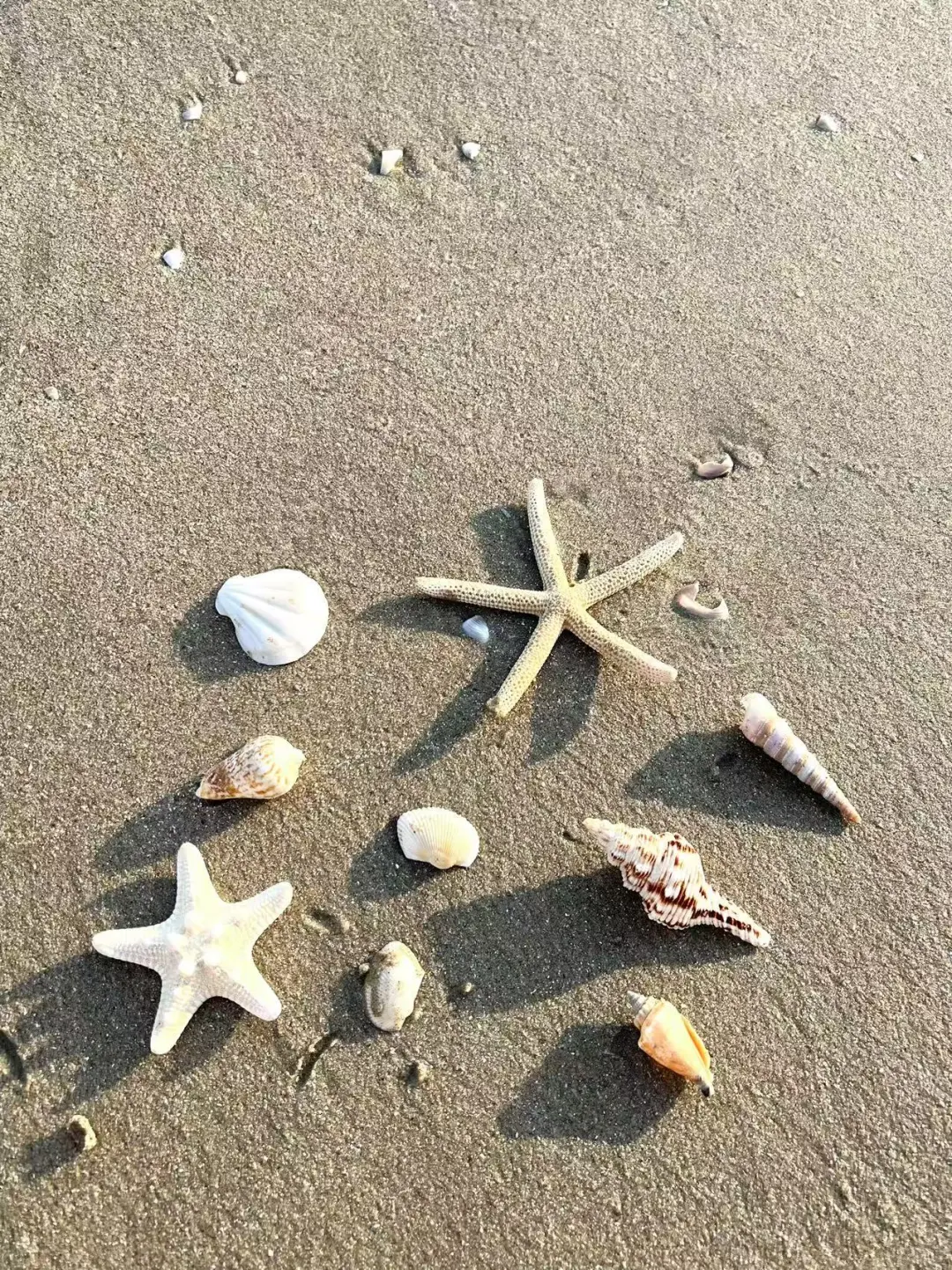 i人海边不露脸这样拍
