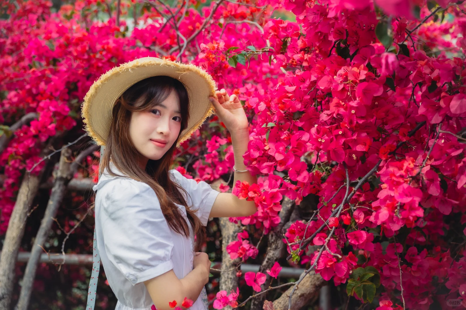 三月华农|以花之名，迎春而来～