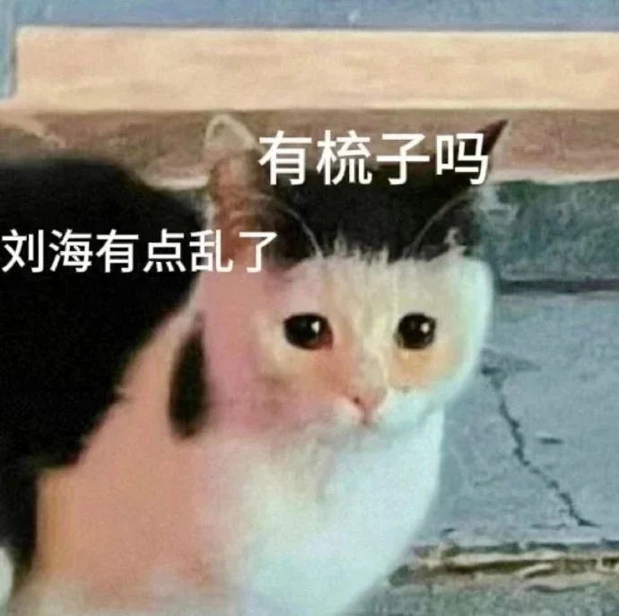笑到打鸣！这些表情包承包你一年笑点