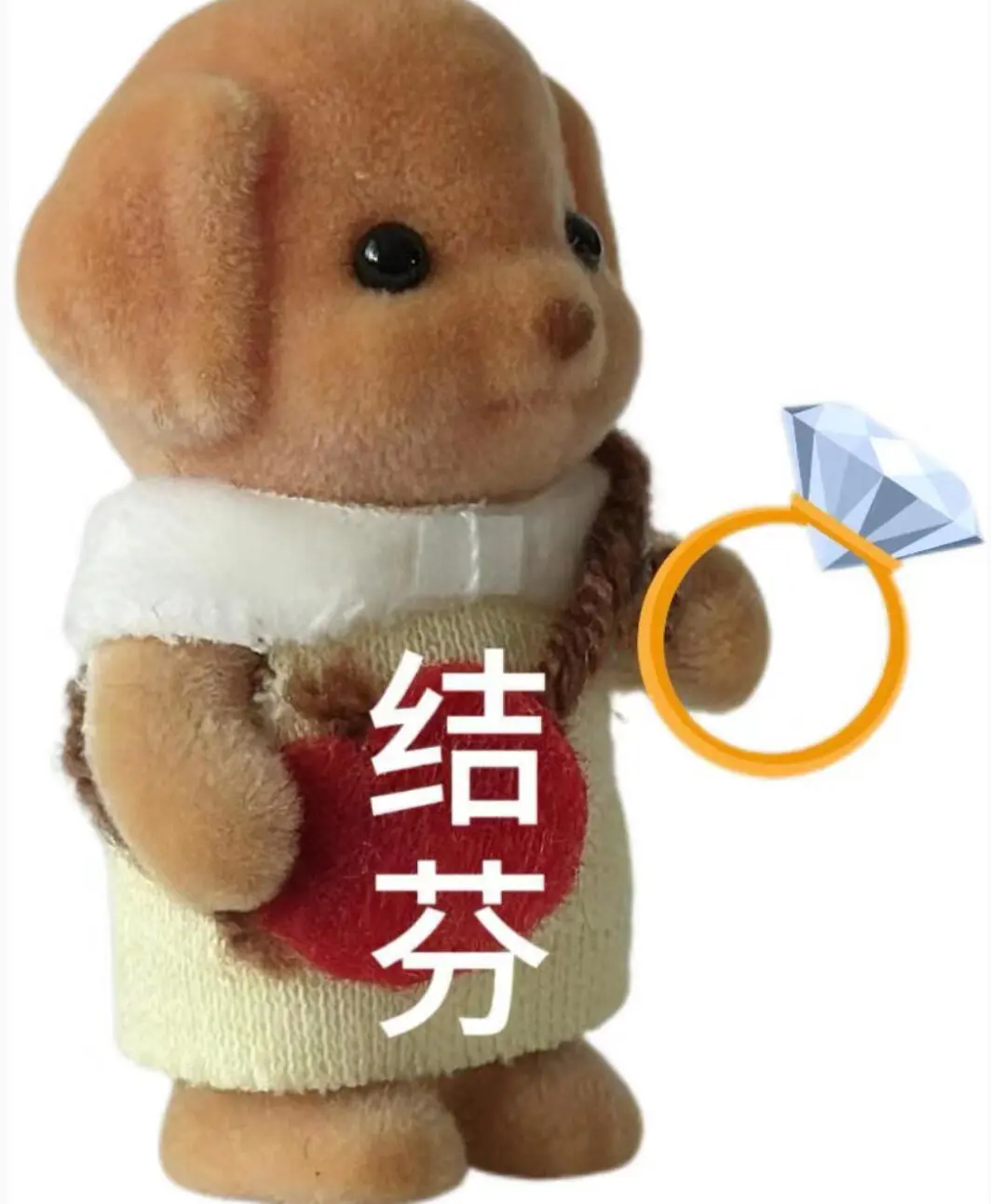 Call me！ 森贝儿小鼻噶