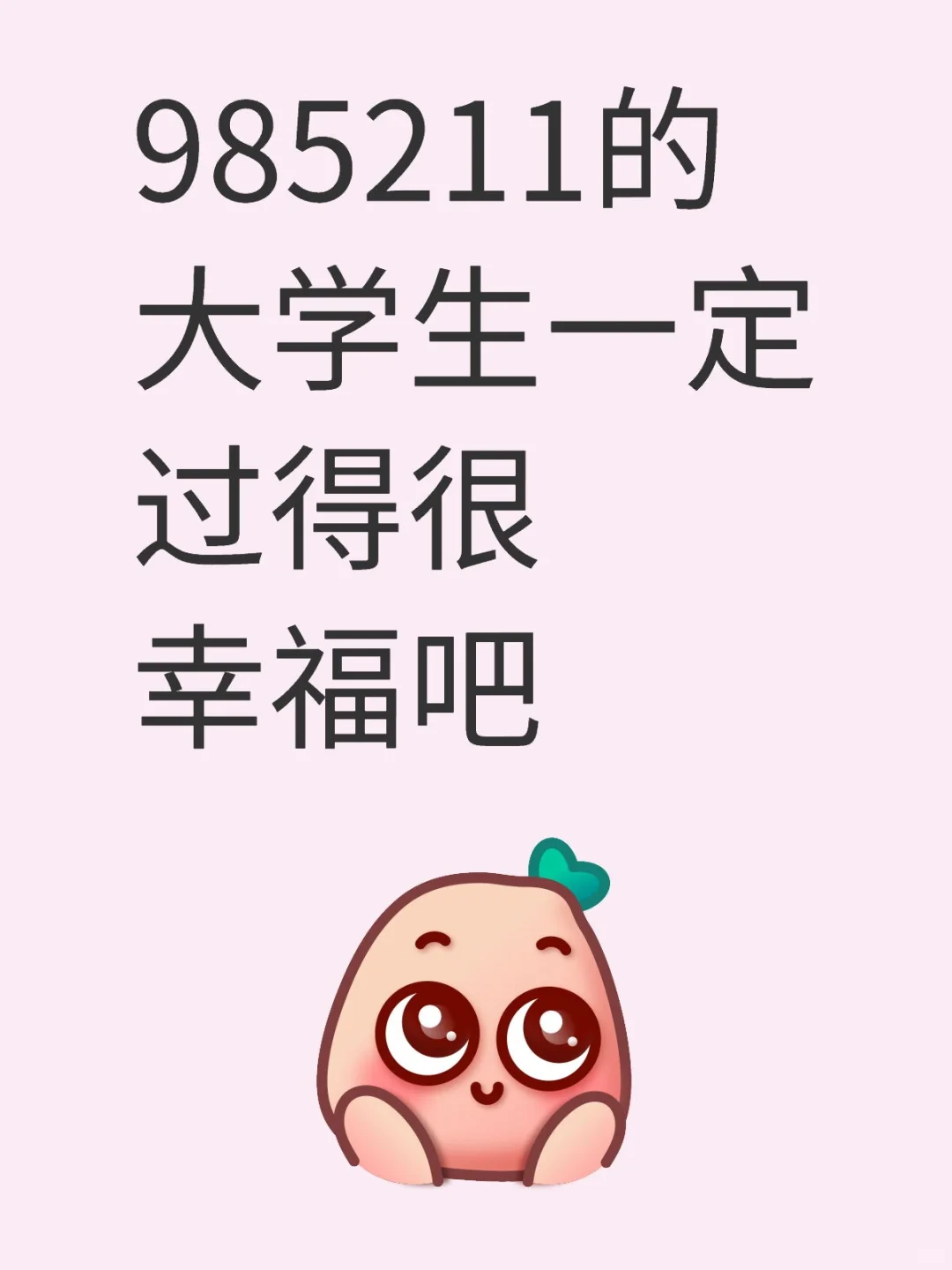 985211的大学生一定过得很幸福吧