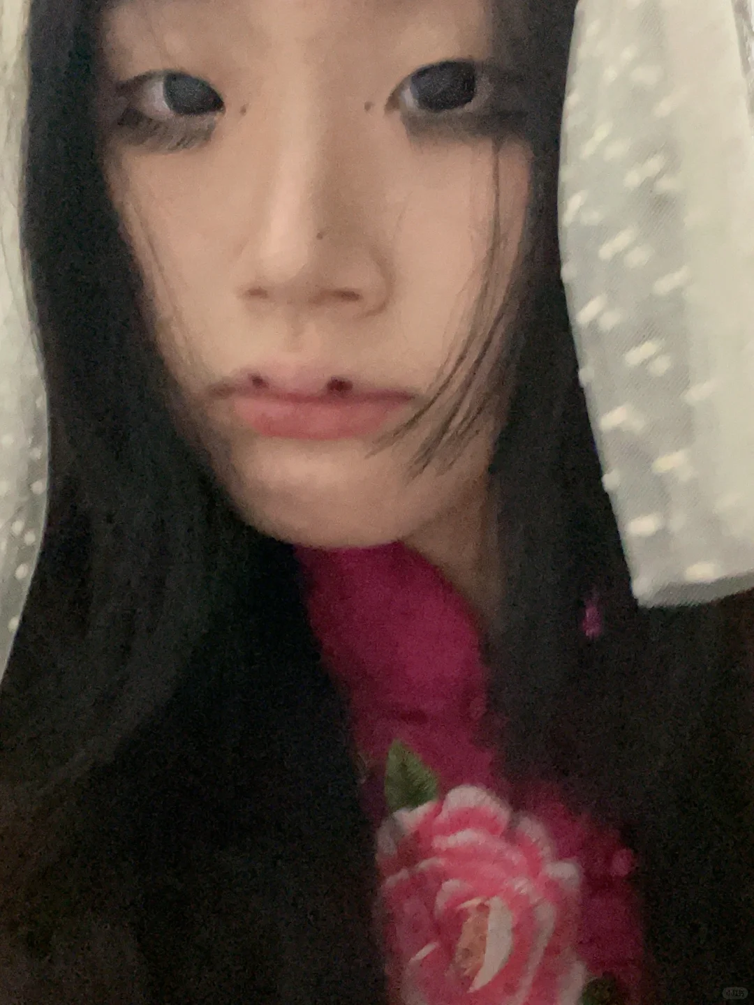 打狗女郎