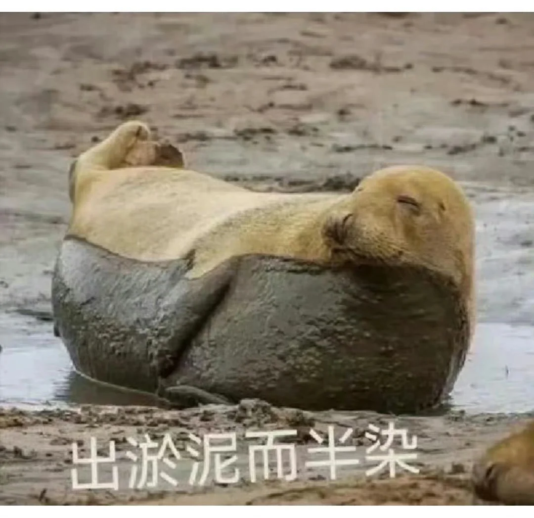 笑到打鸣！这些表情包承包你一年笑点