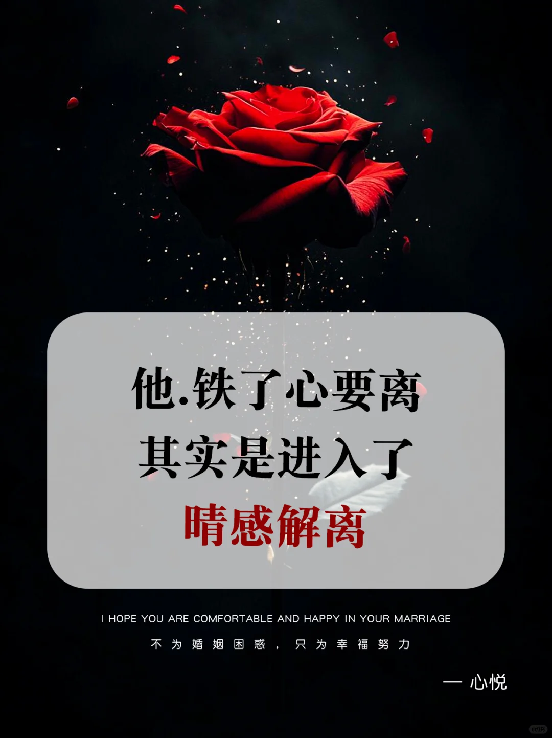 精彩