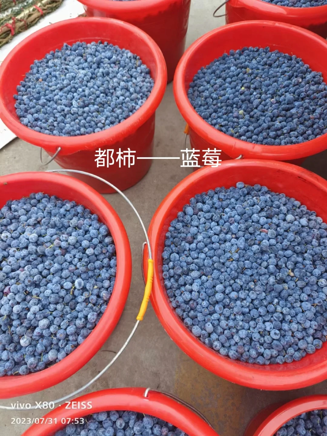 除了蔓越莓，东北的这些特产，你知道吗？