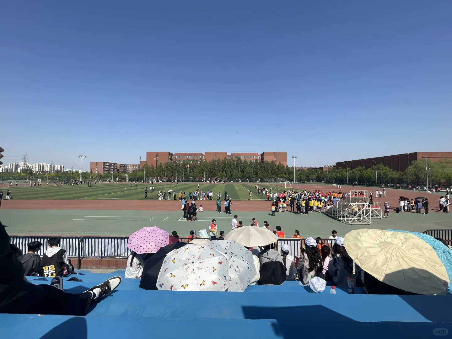 依旧学妹