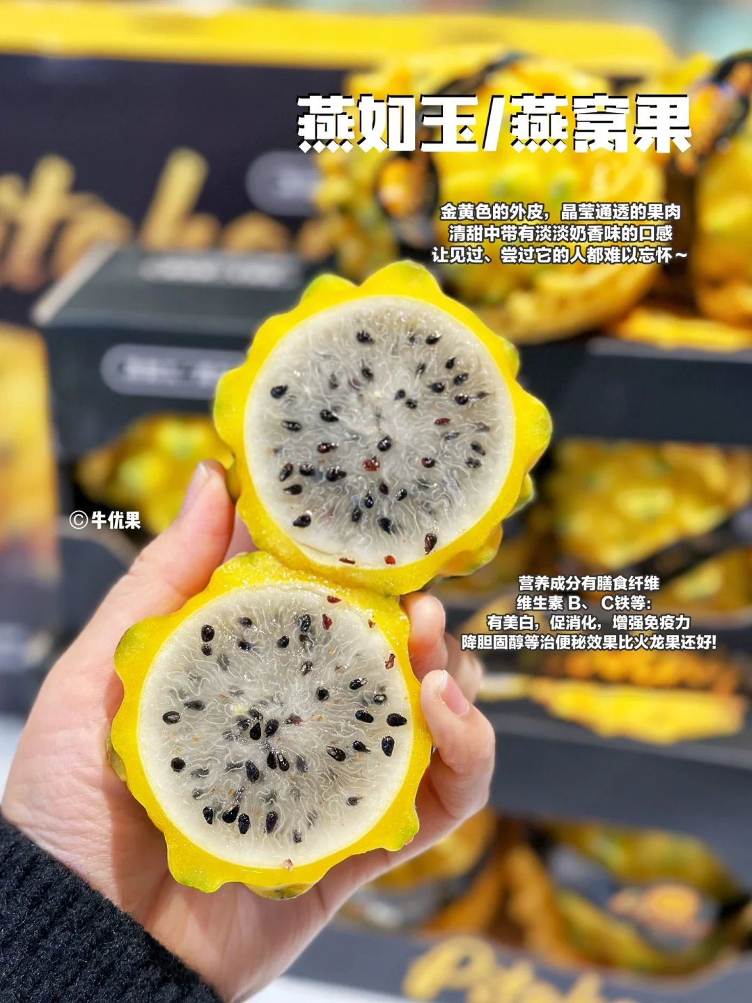 “长在树上的冰糖燕窝”小仙女的最爱！
