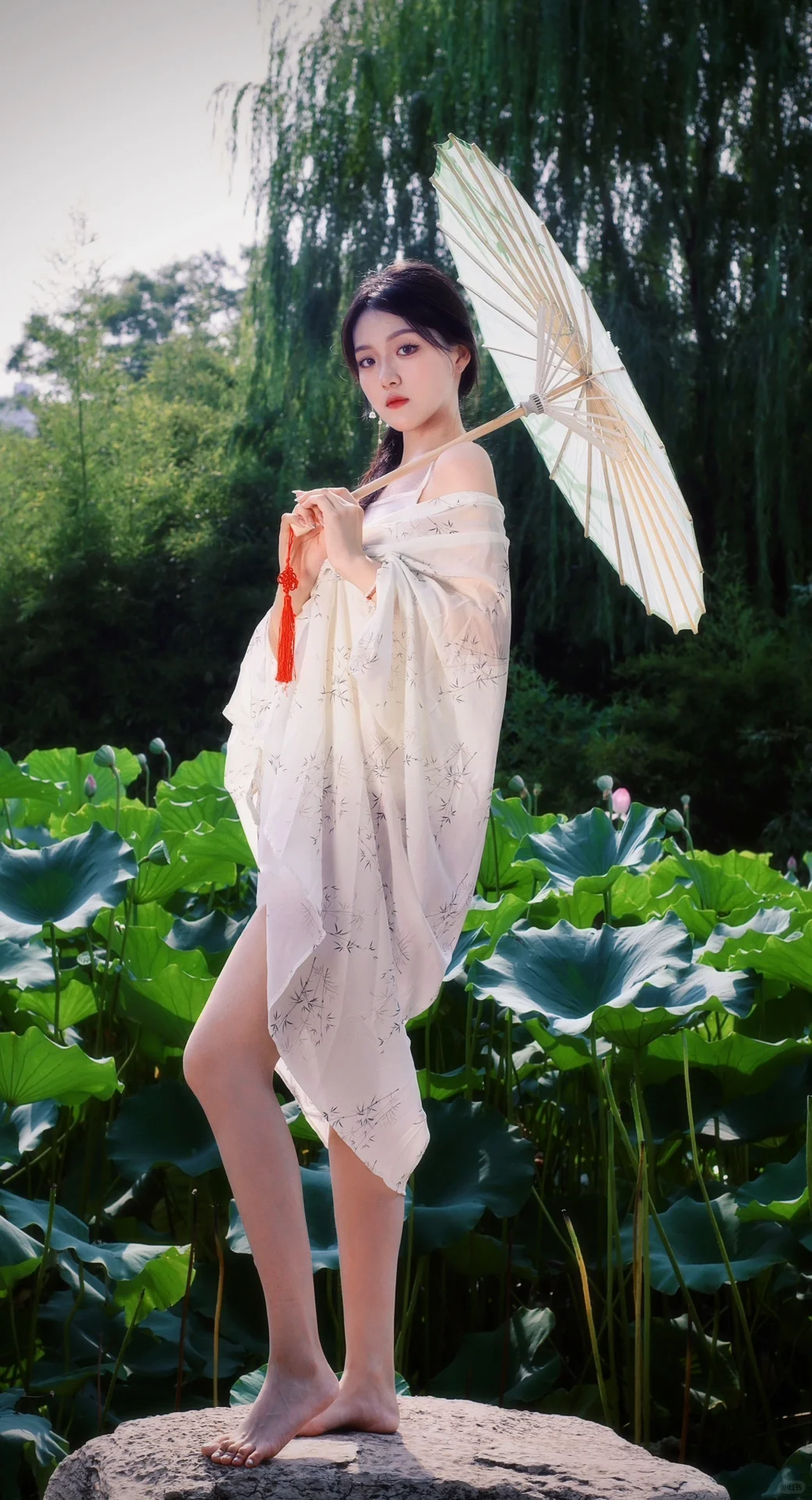 邯郸 赵苑公园的荷花池超出片！
