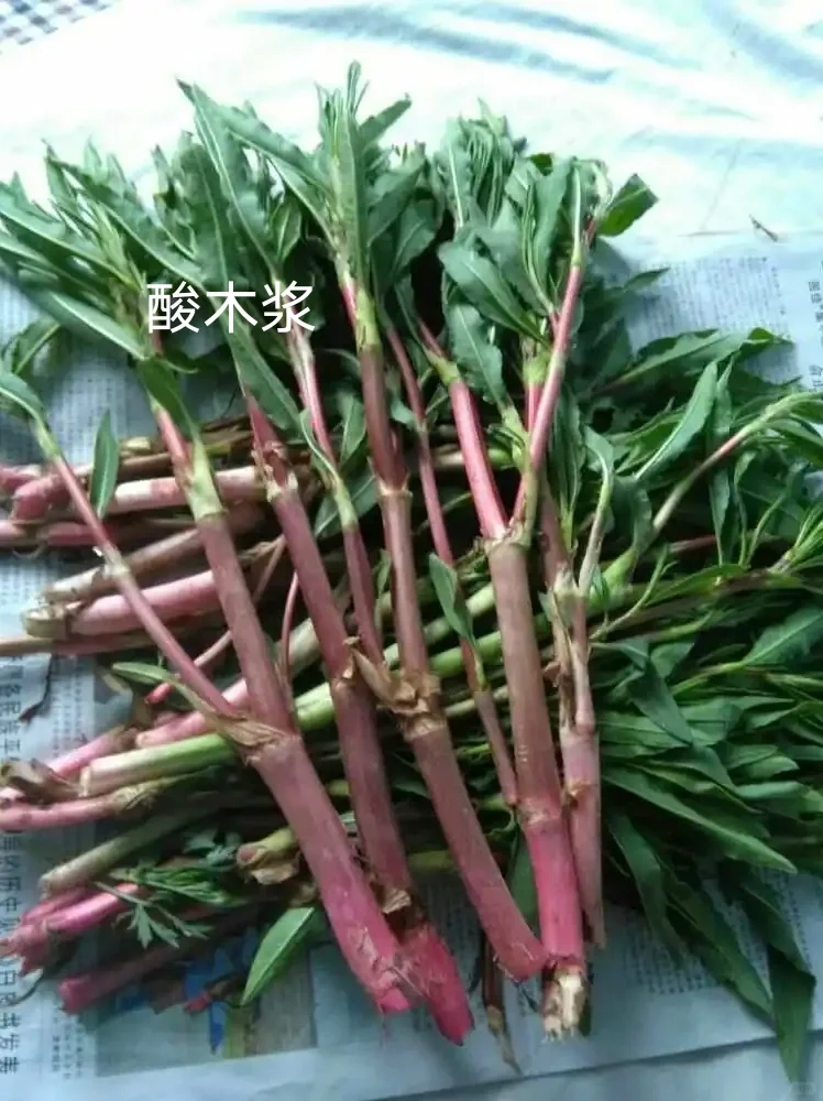 除了蔓越莓，东北的这些特产，你知道吗？