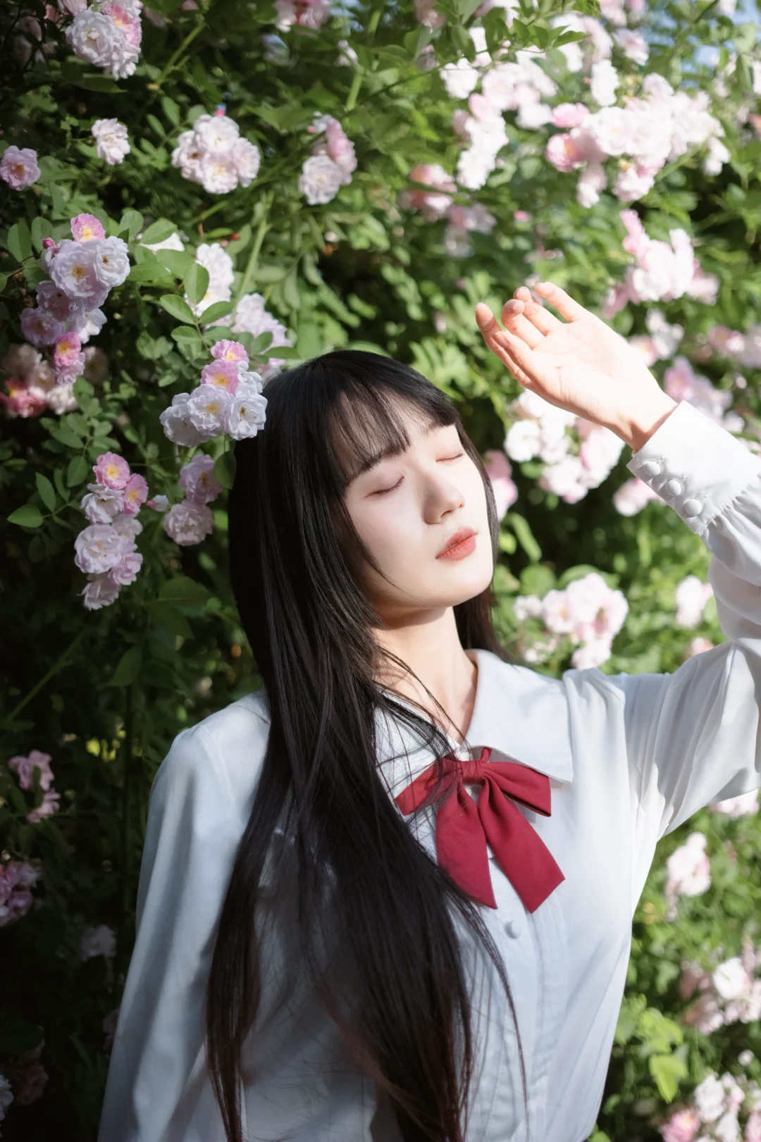 开始怀念自己的大学生活了٩(ˊᗜˋ*)و