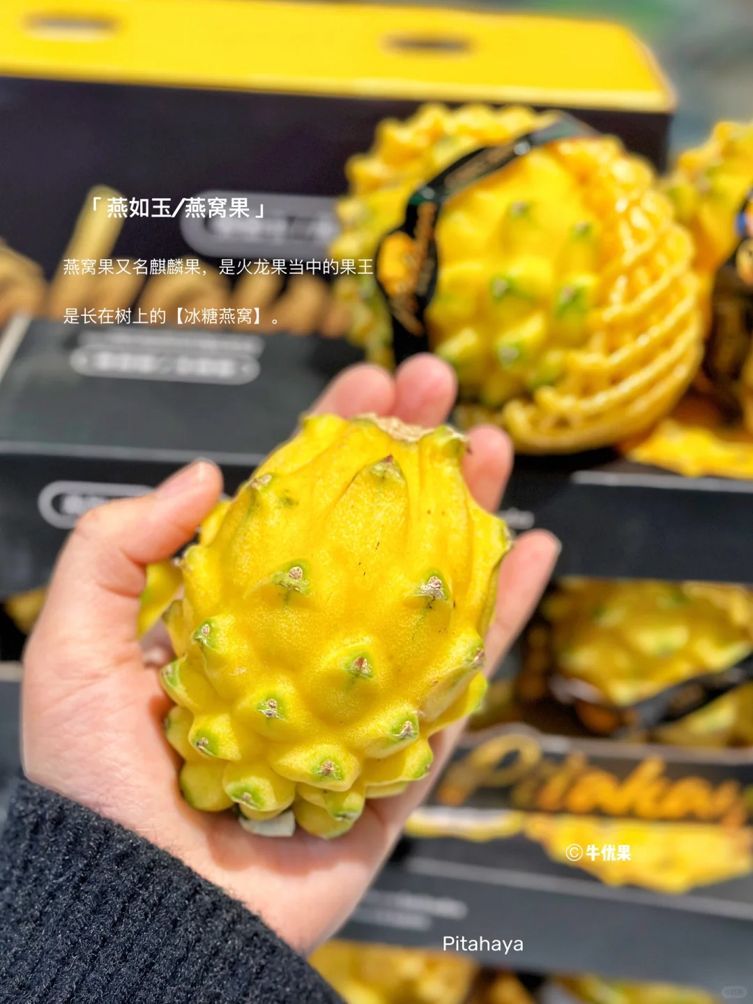 “长在树上的冰糖燕窝”小仙女的最爱！