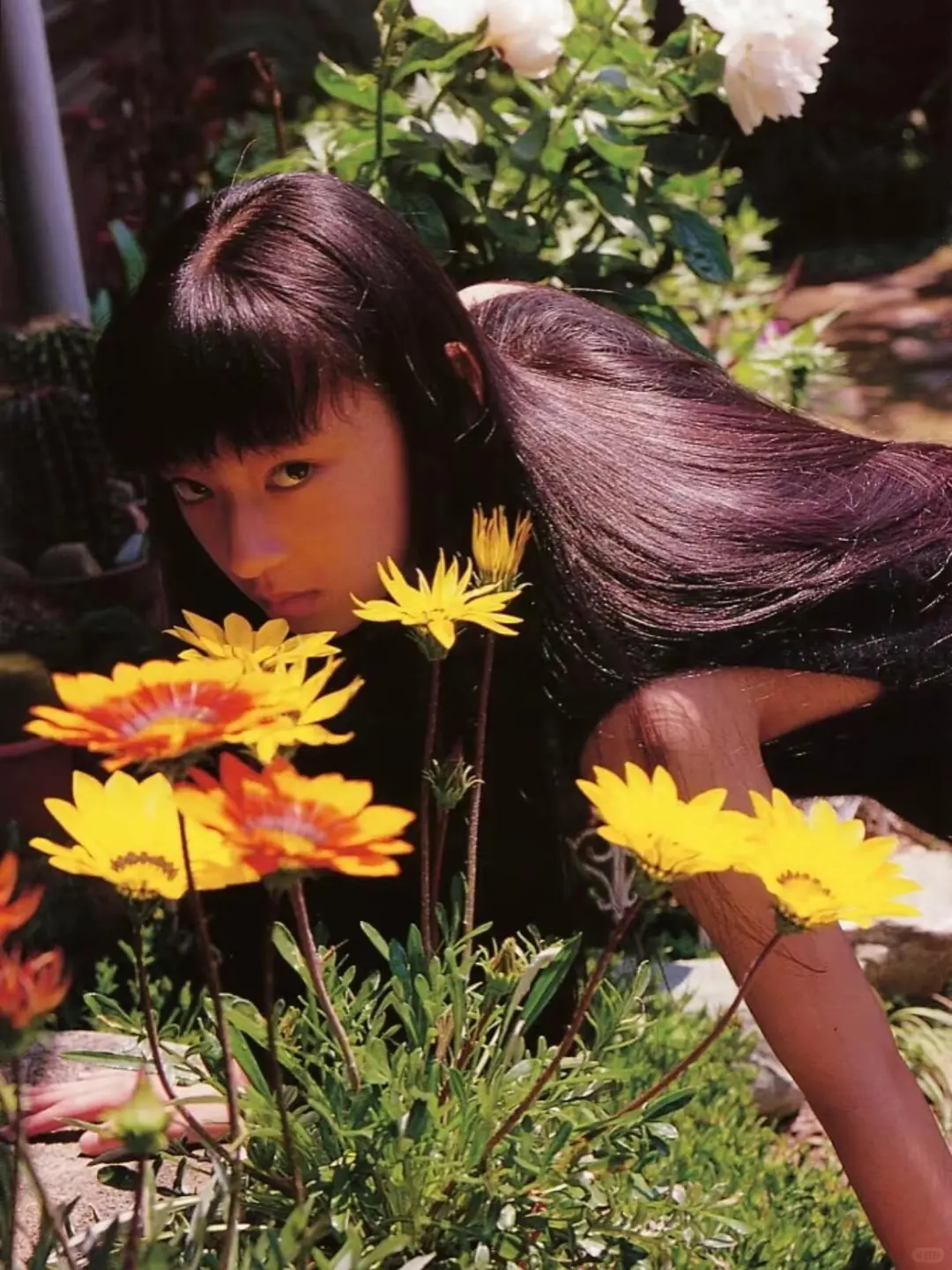 筱山纪信X栗山千明||“神明少女”：野性美