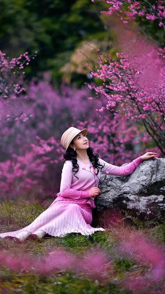 美图分享🌸🌸🌸