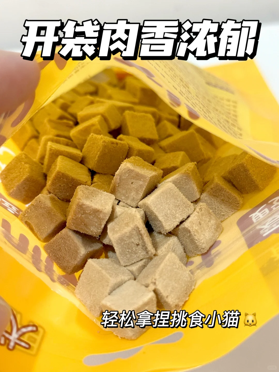 我家猫咪的宝藏零食 | 天天就像