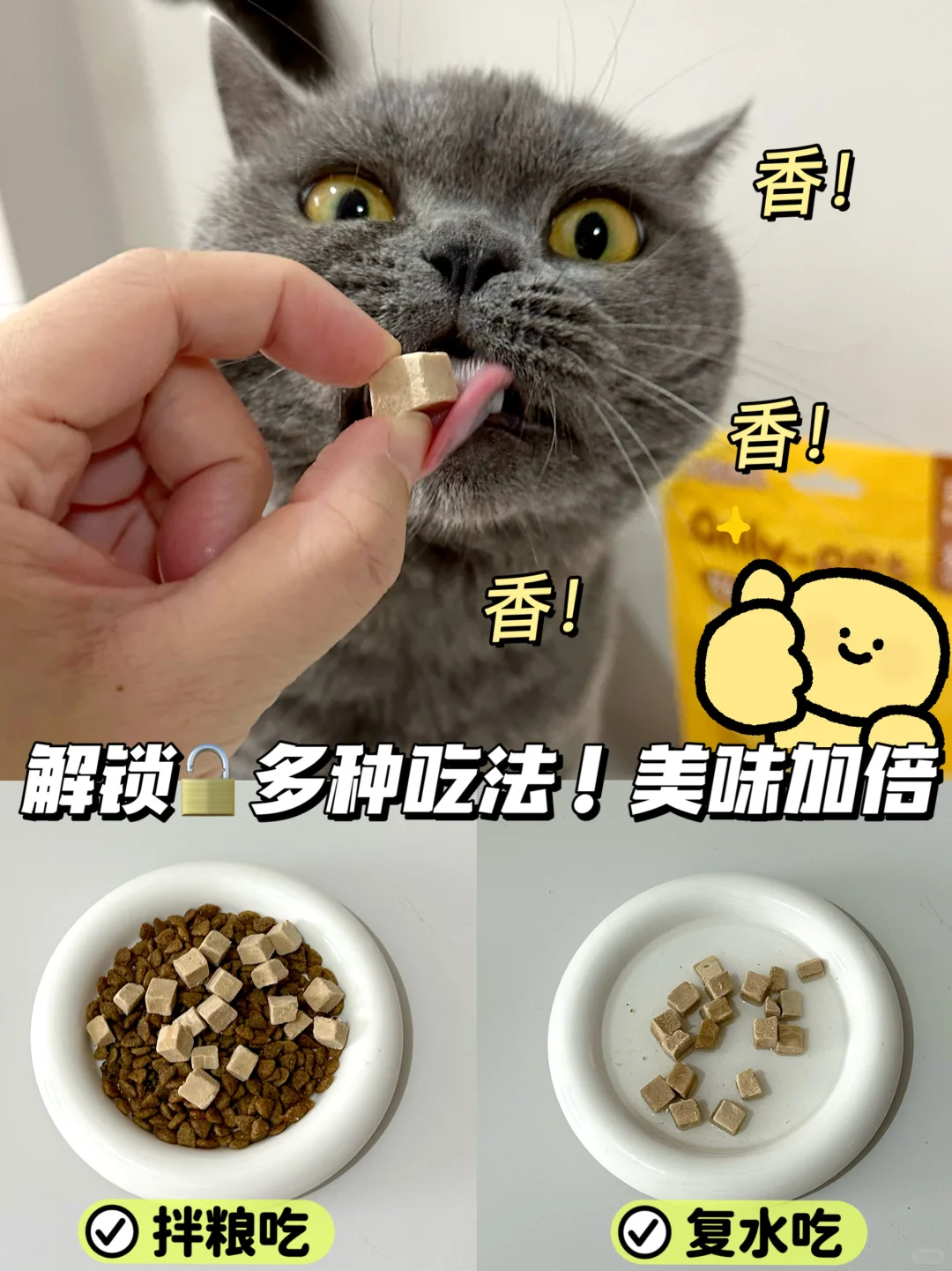 我家猫咪的宝藏零食 | 天天就像