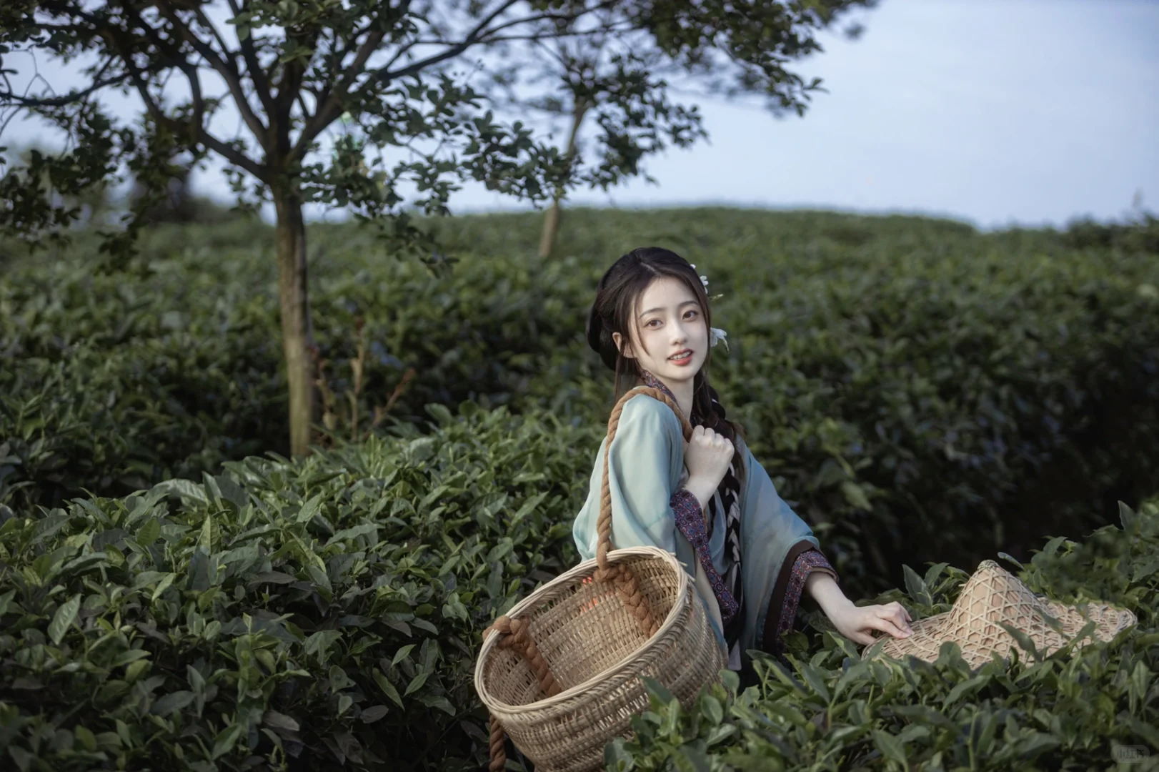 不如山中采茶去～