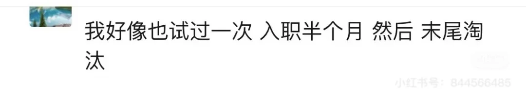 某大厂员工：原来师兄招我来是为了让我背C