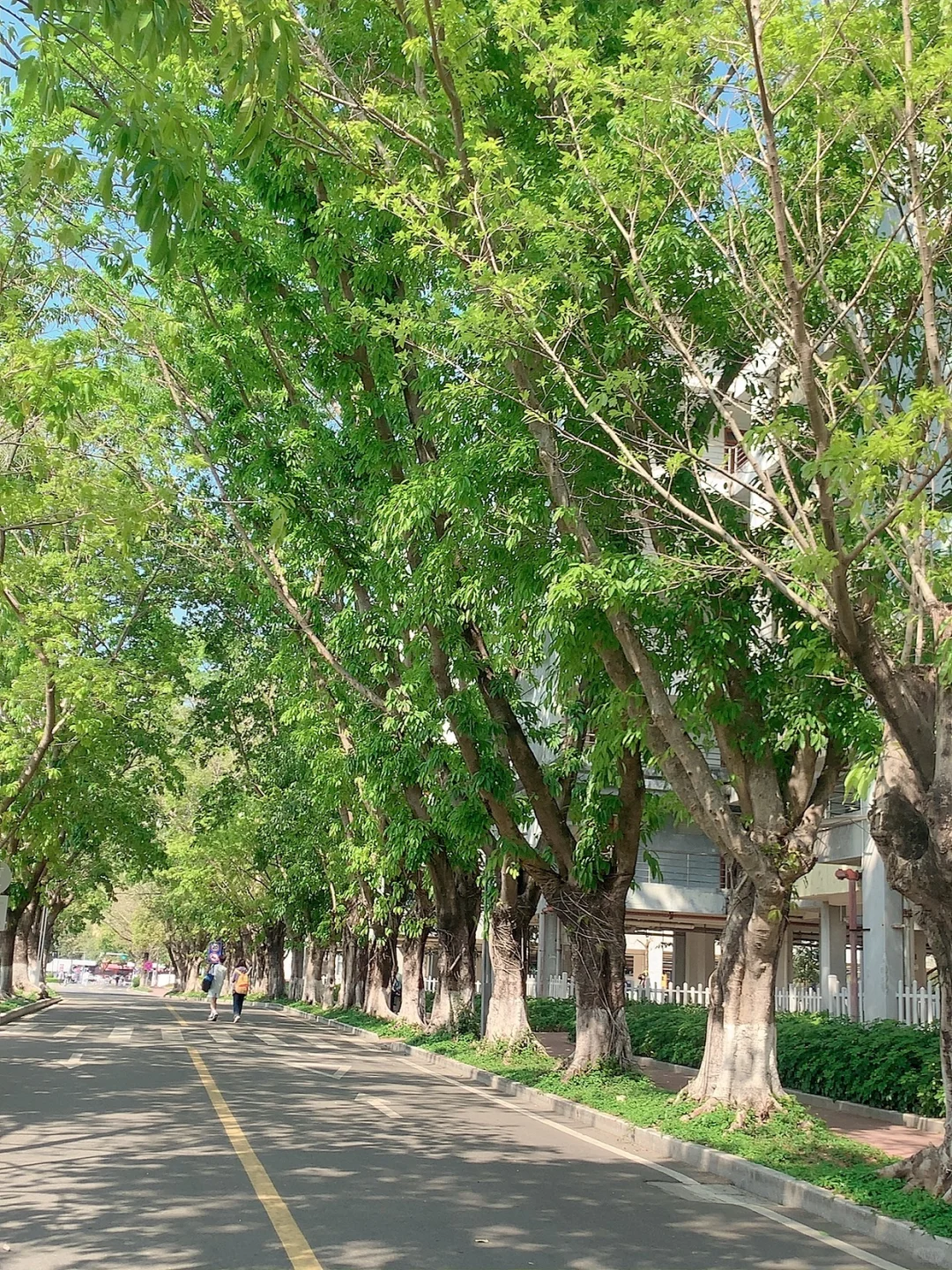 学长 请问小卖部怎么走