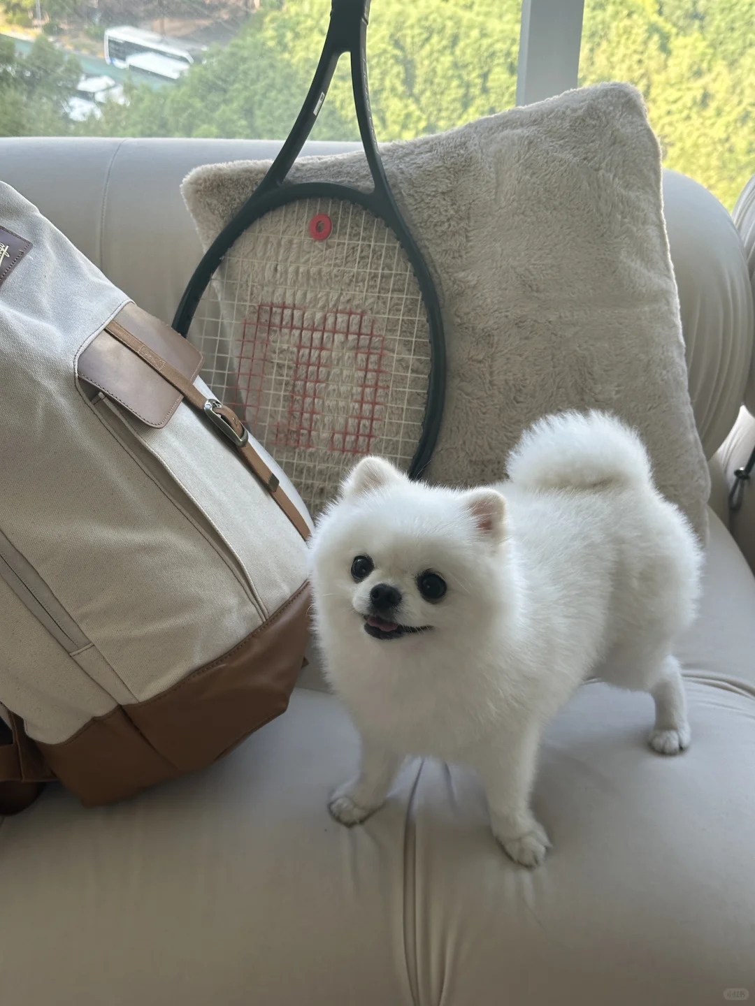 OOTW☀️浅色松弛感一周 练习灵活满足