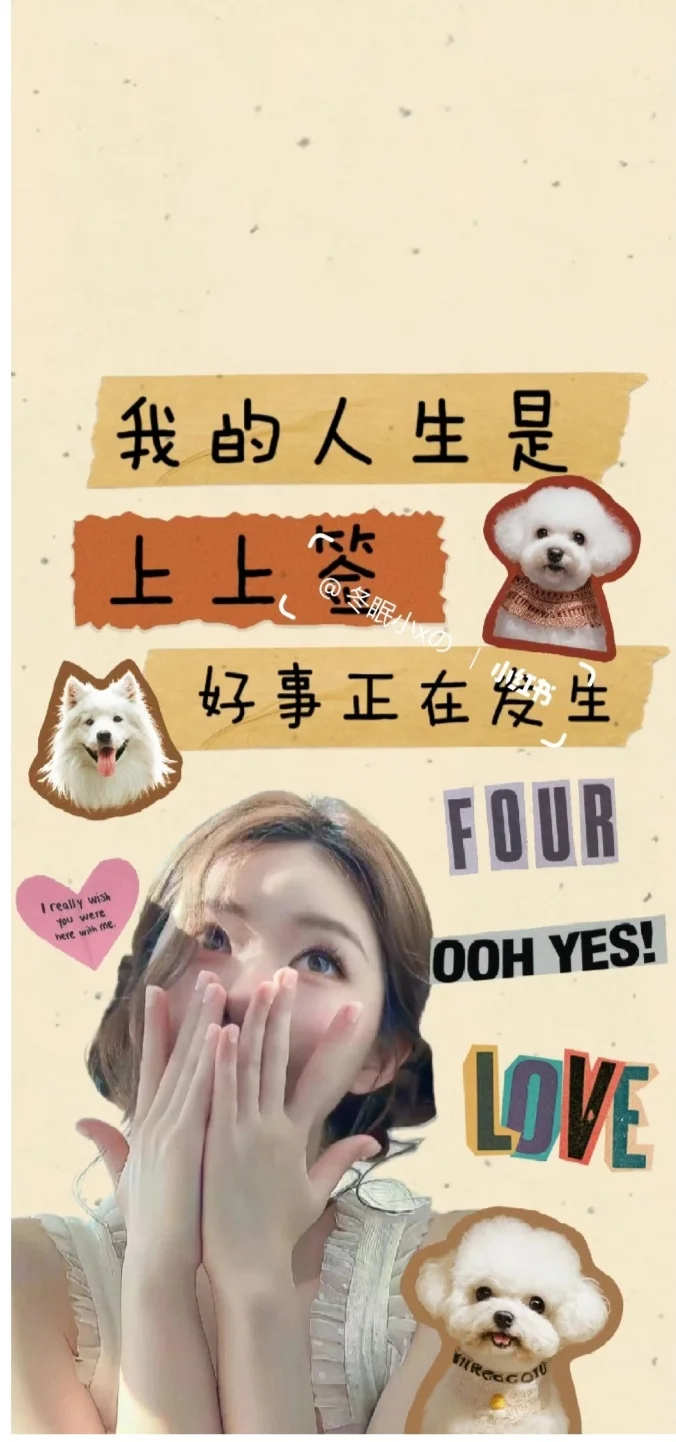 是遗落人间的仙女呀(赵露思)