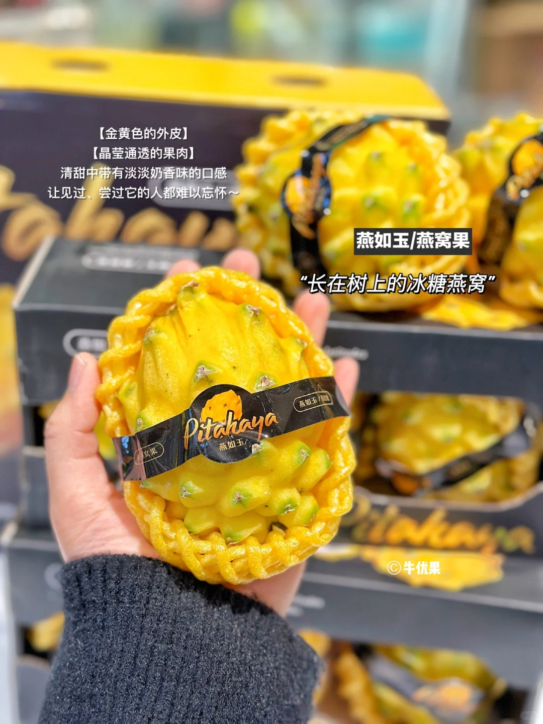 “长在树上的冰糖燕窝”小仙女的最爱！
