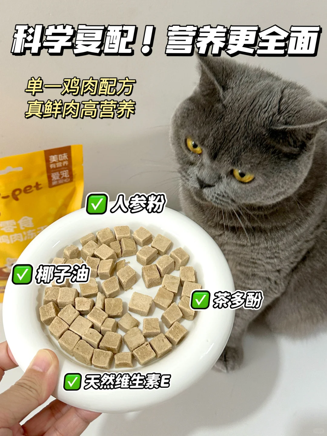 我家猫咪的宝藏零食 | 天天就像