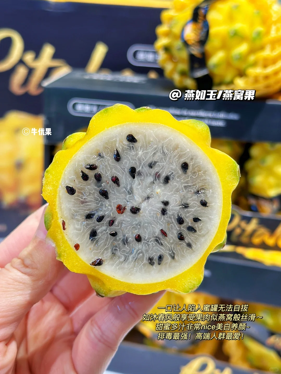 “长在树上的冰糖燕窝”小仙女的最爱！