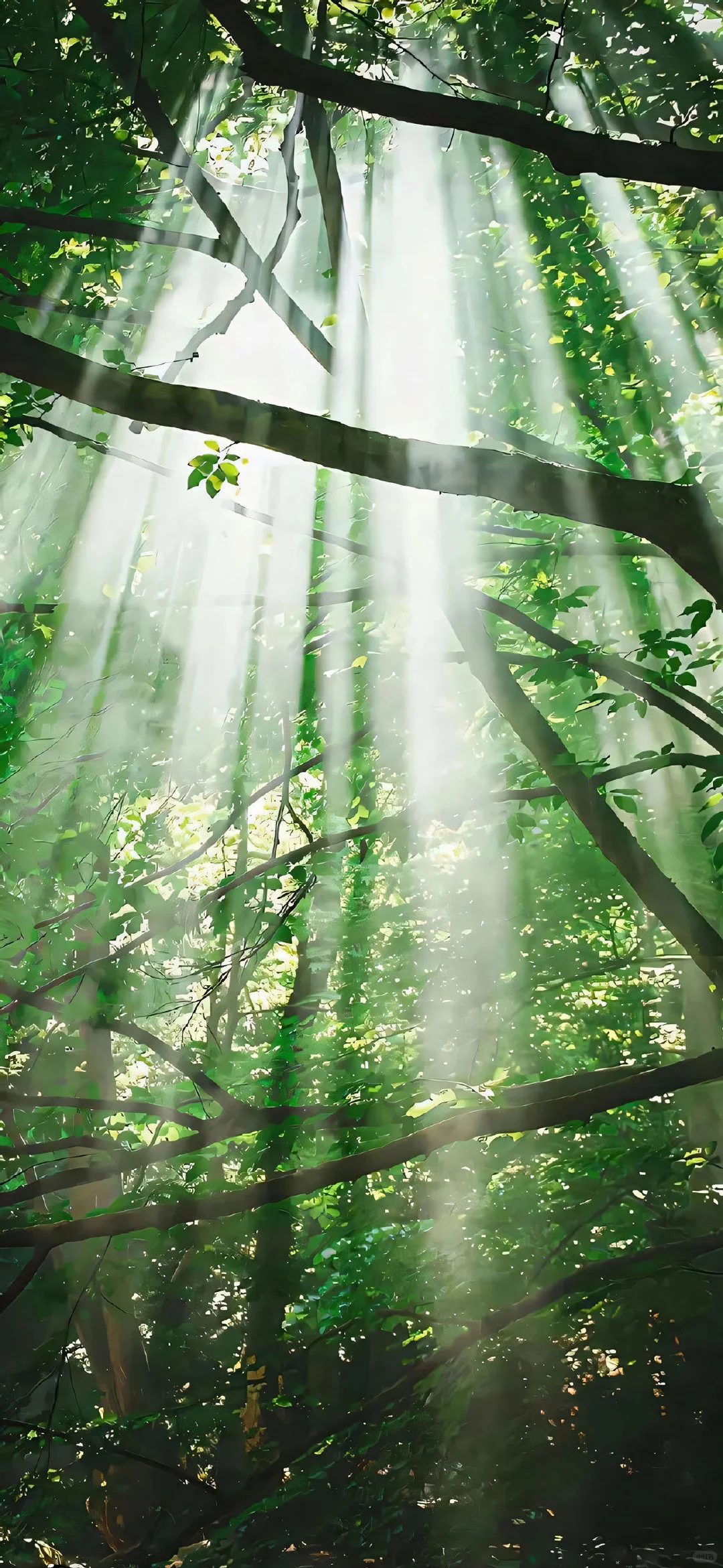 把春天放进手里