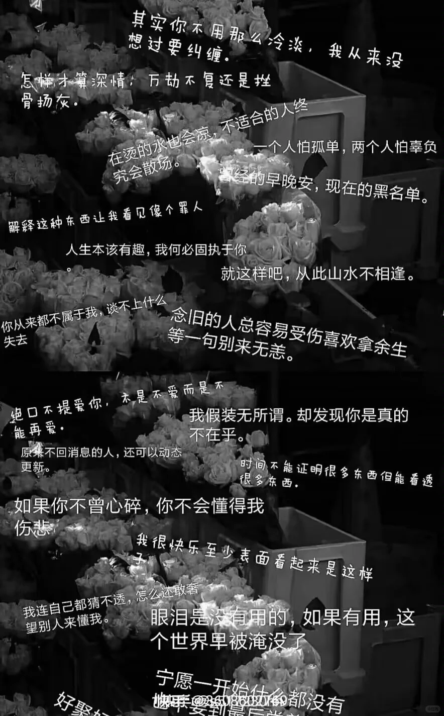 手机壁纸非常好看，有兴趣的点赞就可以拿走