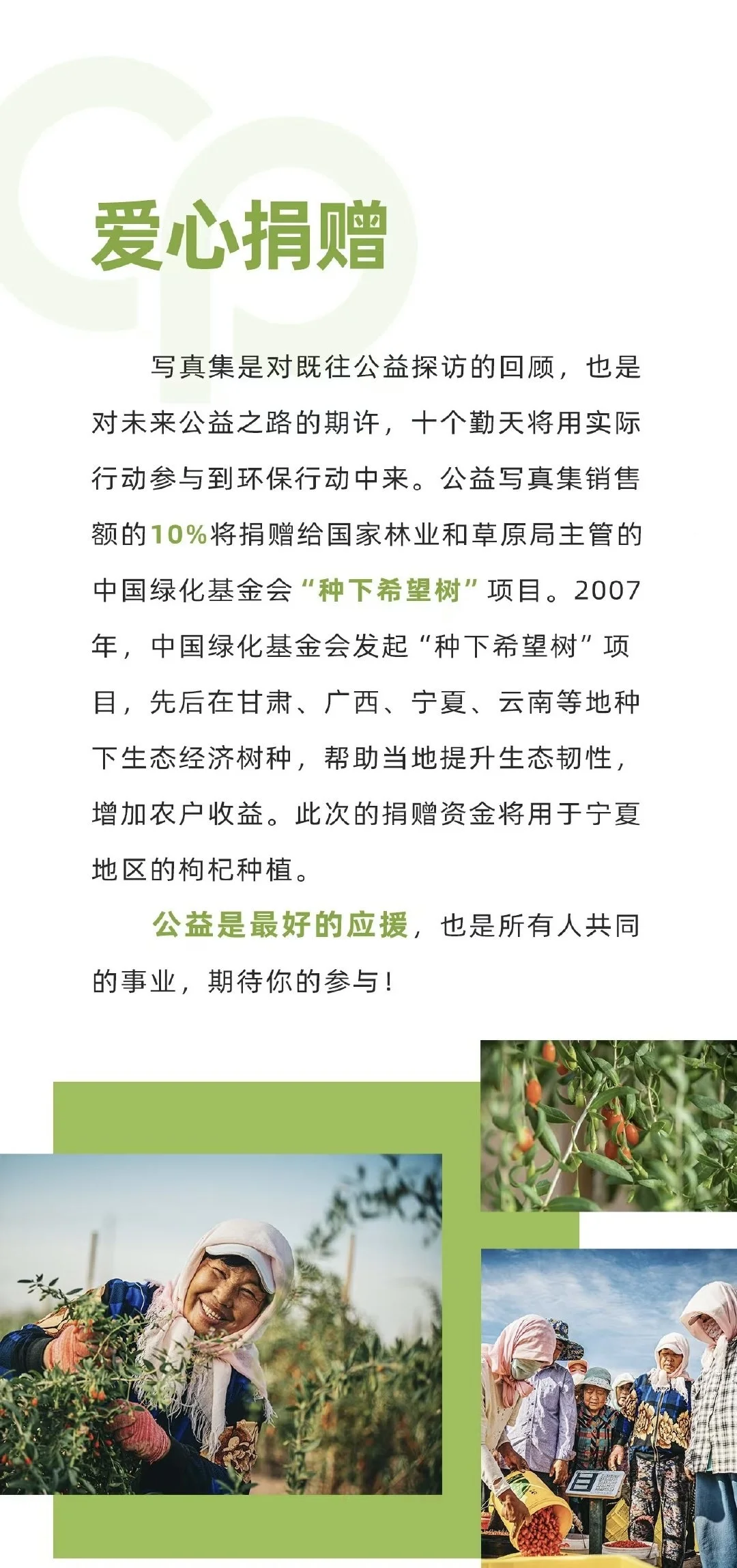 你没看过的十个勤天