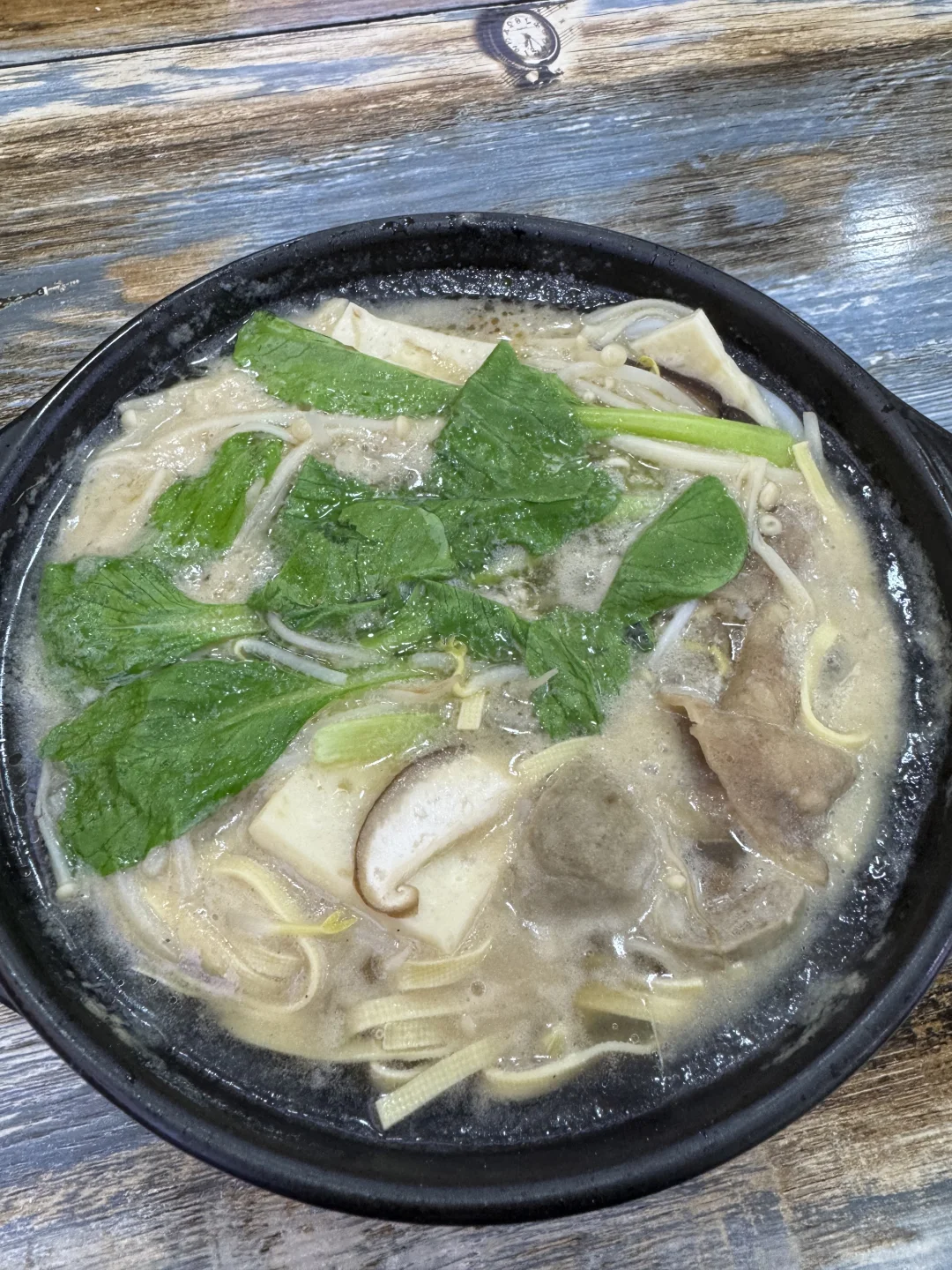 我的解放日记47｜每次路过都被这花美一大跳