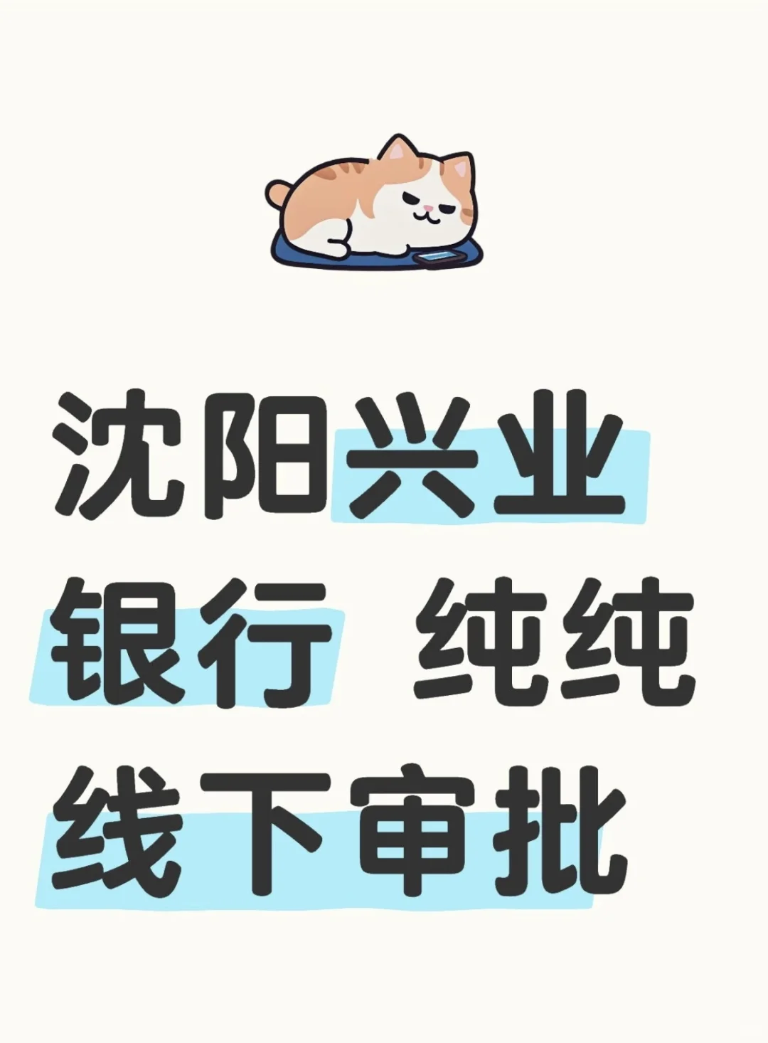 沈阳兴业银行 纯纯线下审批