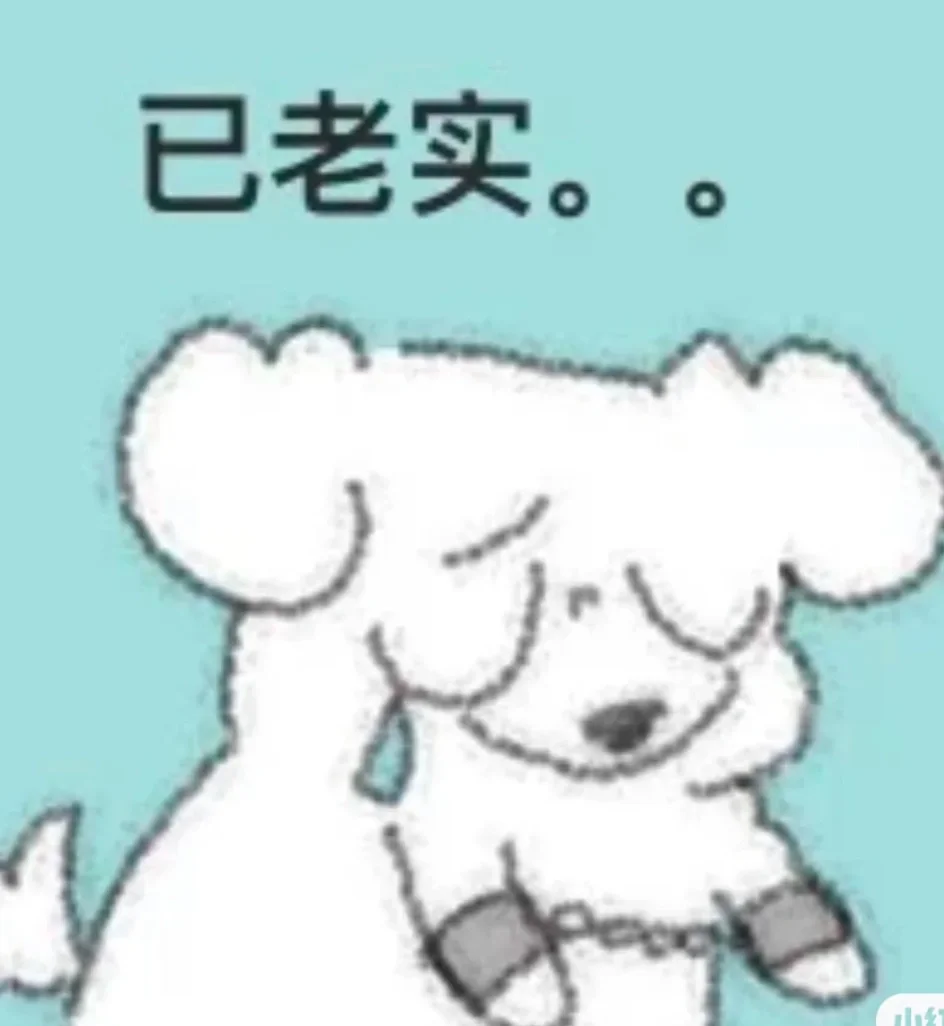 虽然我看起来很漂亮 但…