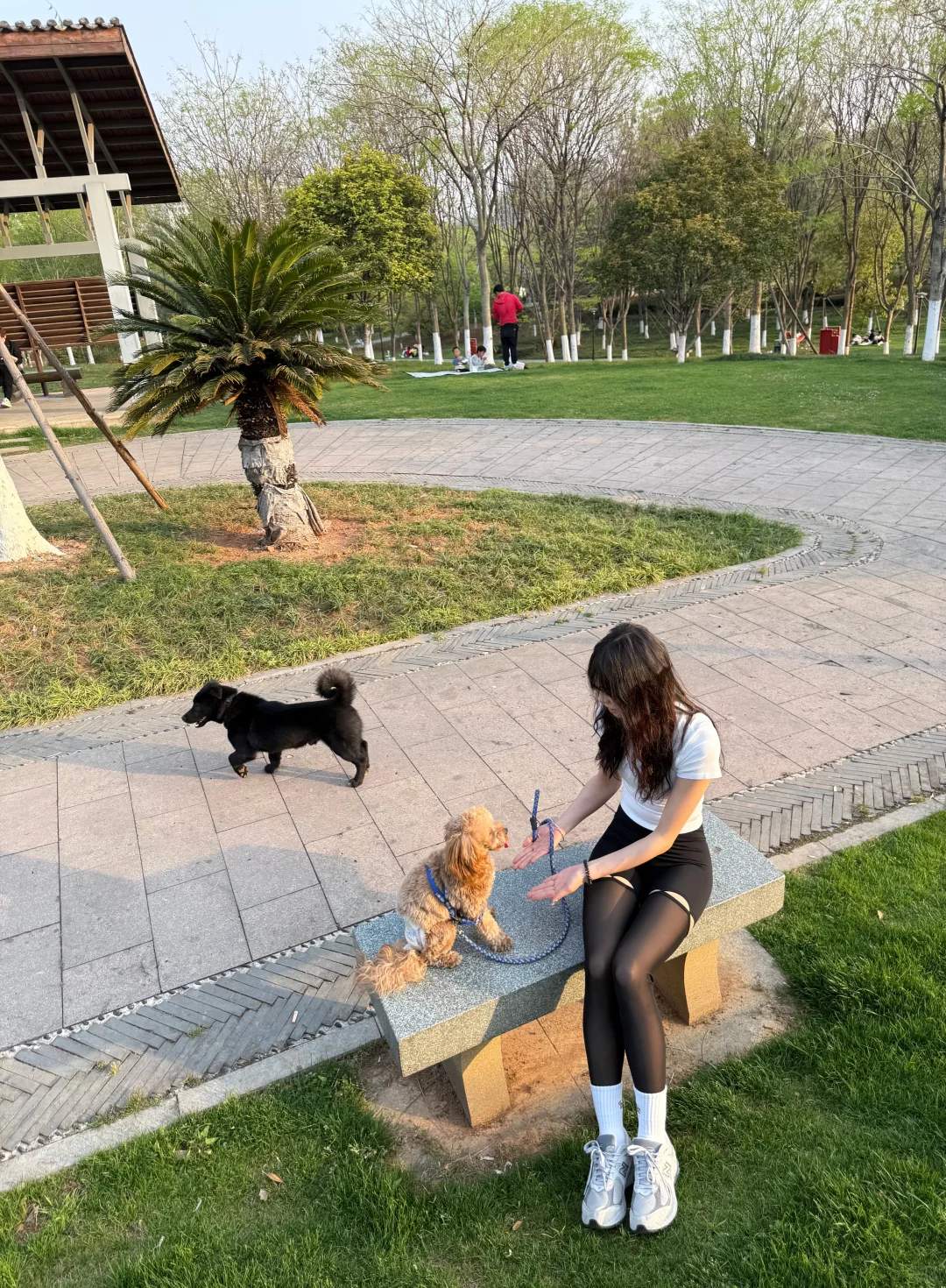 黑s瑜伽裤才是yyds 你说是吗！