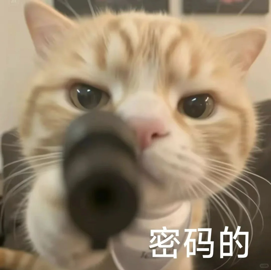 密码的*%#*&