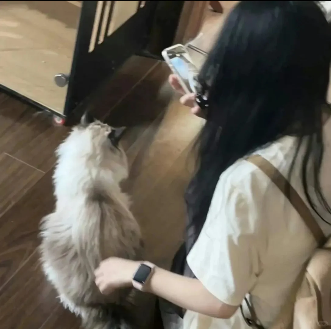 小猫甜妹头像，边角料情头