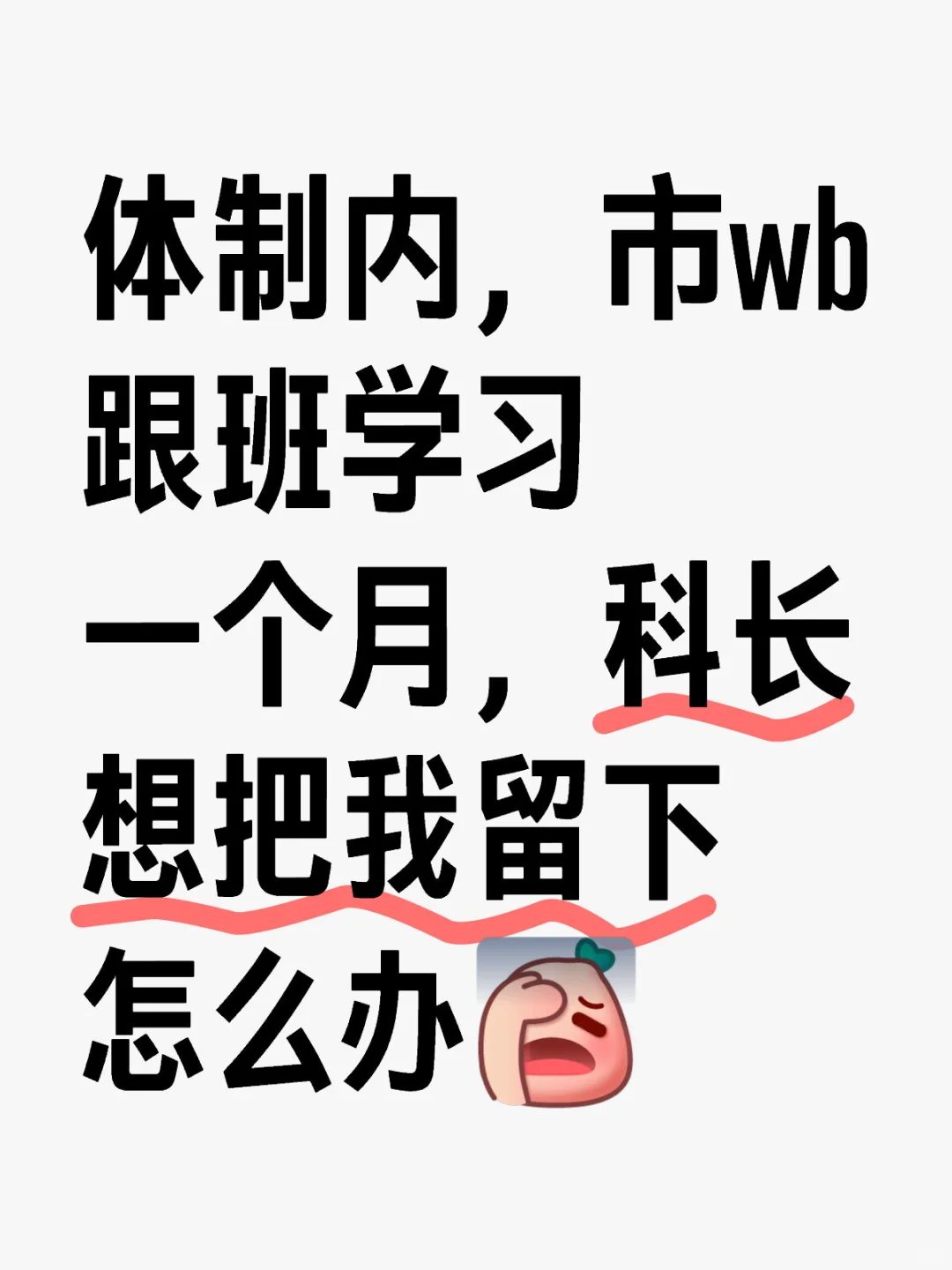 体制内，市wb跟班学习一个月，科长想把我留下怎么办